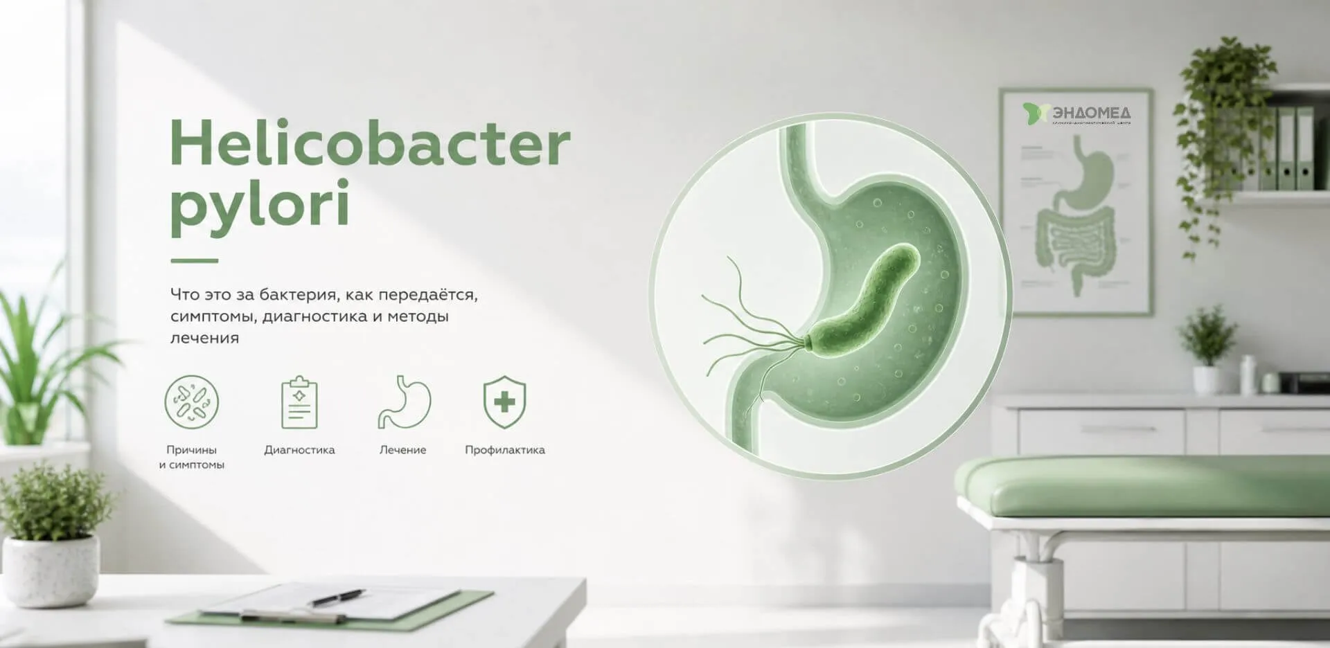 Диагностика Helicobacter pylori